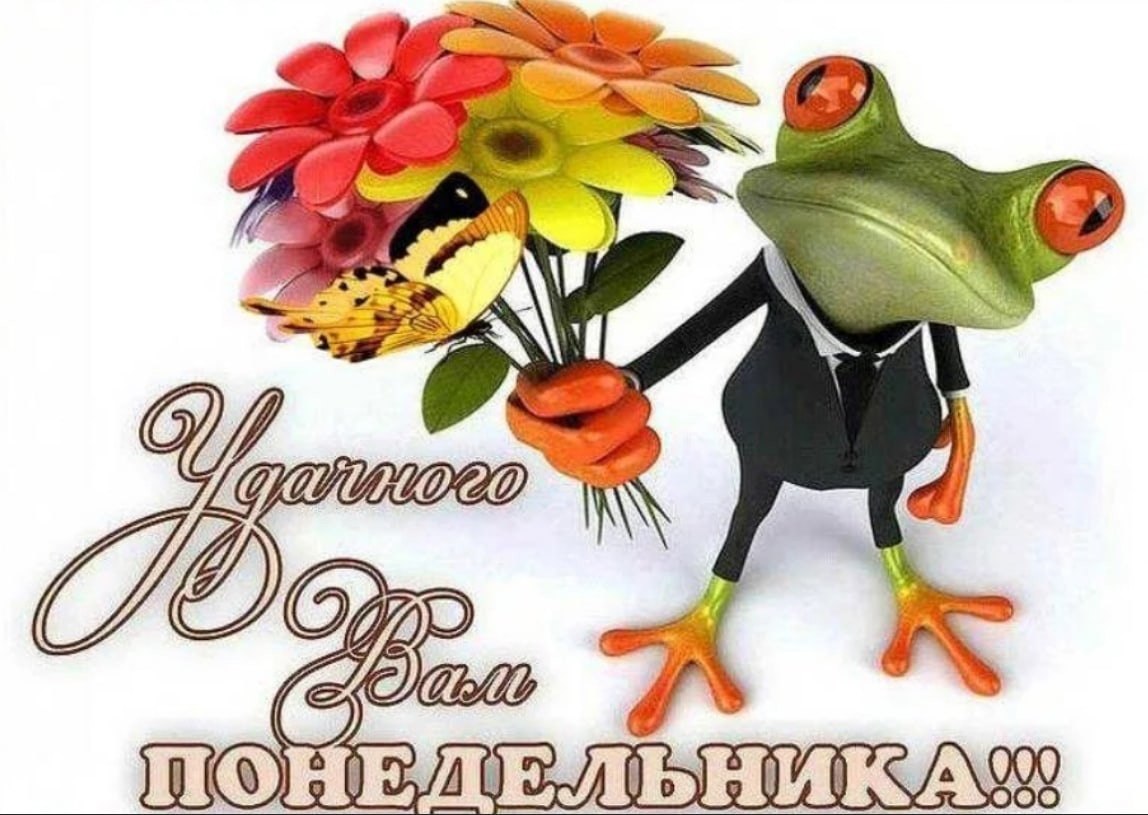   ,    . - 27  2021  21:51 - 5