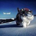 ���� �����, �����������, 59 ��� - ��������� 15 ���� 2021 � ������ ���� ����������
