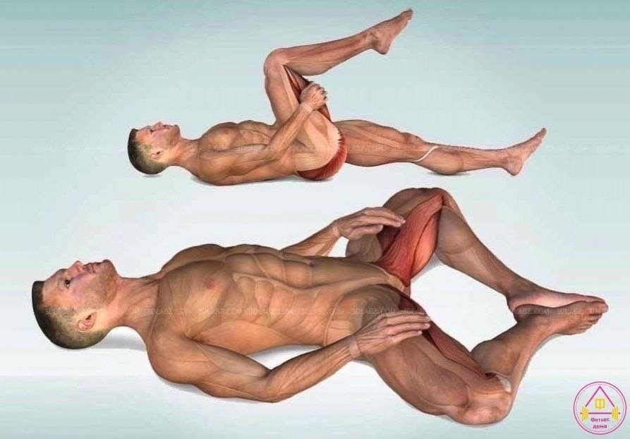 Haa paca opex .     ! - 4