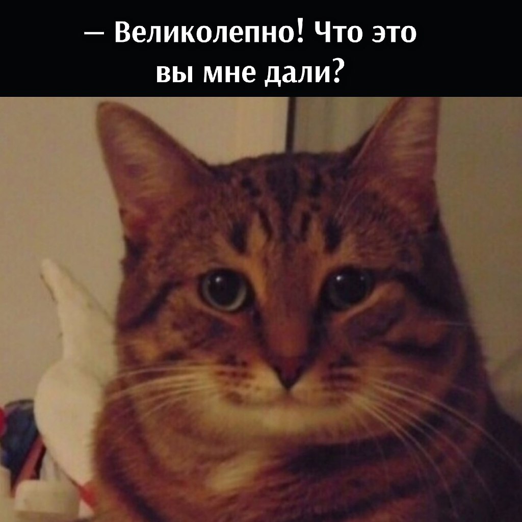       - 16  2021  10:14 - 2