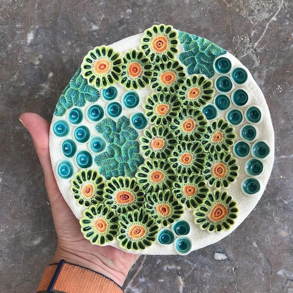 �������������� �������! ����� ���������� ������ �� ������� ������ �� Lisa Seaurchin