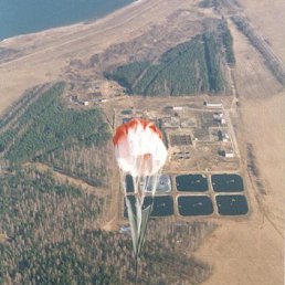 ������, ������, 49 ���