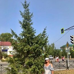 ������, ���������, 70 ���