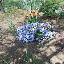  , , 73  -  3  2021      2021