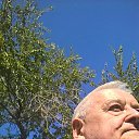 ���� ���������, ��������� - ��������� 5 ������ 2021 � ������ ���� ����������