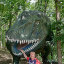 ���� ˸��, ������ �������� - ��������� 15 ���� 2021 � ������ ���� ����������