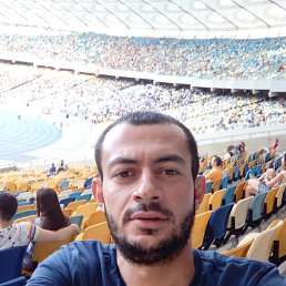 ������, 41 ���, ������