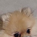 ���� ��������, ��������� - ��������� 30 ��� 2021 � ������ ���� ����������