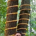 ���� ����, �����������, 34 ���� - ��������� 20 ��� 2021 � ������ ���� ����������