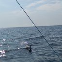 ���� Bojenochca, ���� - ��������� 8 ���� 2021 � ������ ���� ����������