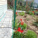  , , 73  -  3  2021      2021