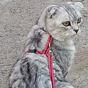 ���� ������, ���������, 61 ��� - ��������� 25 ������� 2021 � ������ ������Ż