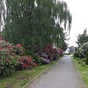 ���� Vera, ������ - ��������� 3 ���� 2021 � ������ ������ ��������
