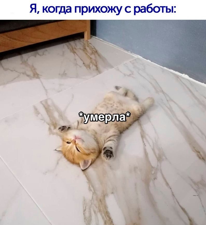      30,    