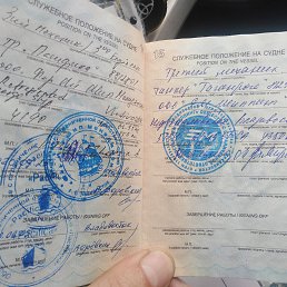 �������, �����������, 49 ���