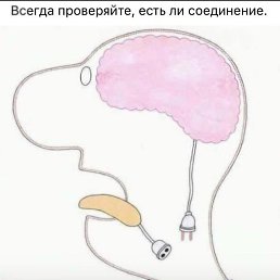 ��� ���������, ����