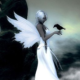 ���� �����, ��� - ��������� 7 ���� 2021