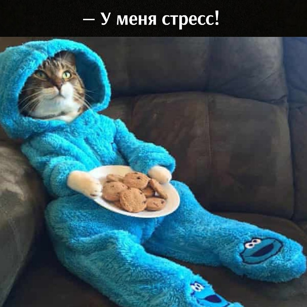       - 28  2021  19:02 - 2