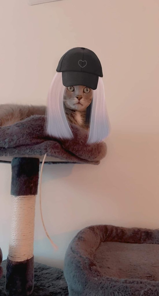    Snapchat.      ))) - 3