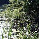 ���� ����, �������, 70 ��� - ��������� 29 ������ 2021 � ������ ���� ����������