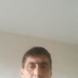 , 52 , 