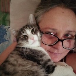 �������, ����-���, 61 ���