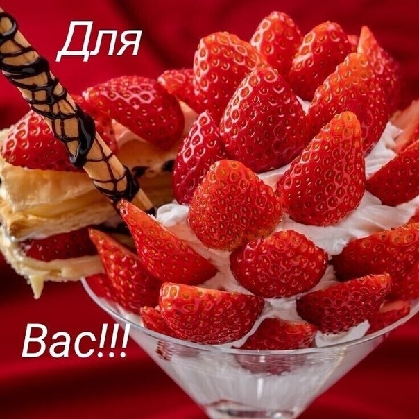 ***Victoria Viktorovna*** - 8  2021  04:50