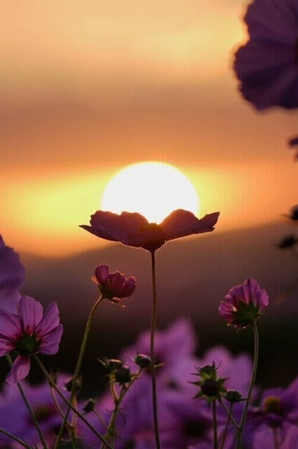 ��������, ��������, ���� ���������� �����, ���� ���������� ����� �� �� ��� ����, ���������� �� ��� ... - 4