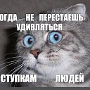 ���� ��������, ����������, 63 ���� - ��������� 26 ���� 2021