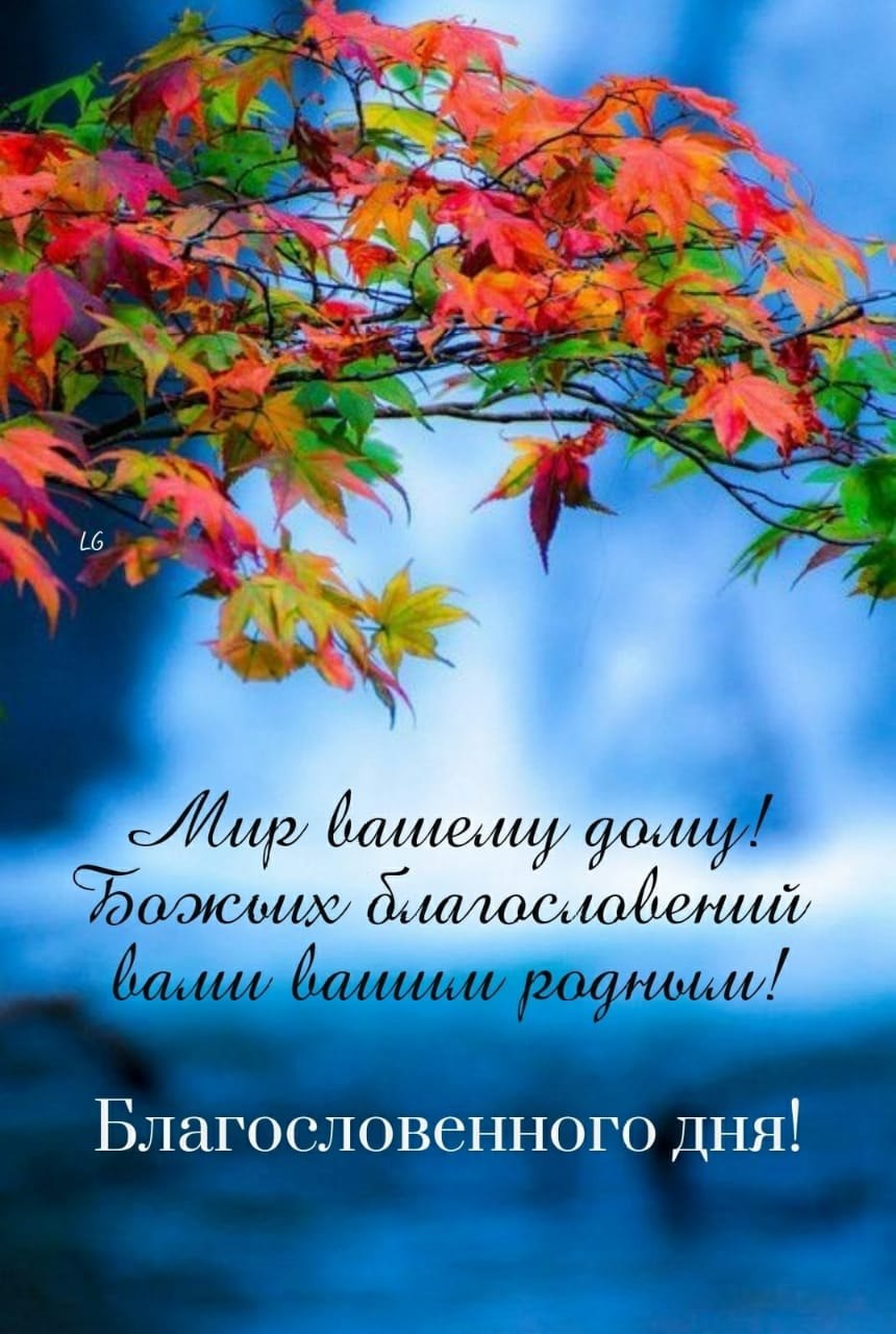 ***Victoria Viktorovna*** - 17  2021  05:44