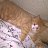 ZEVS -��� ����� ))))