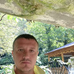 ���������, ������, 44 ����