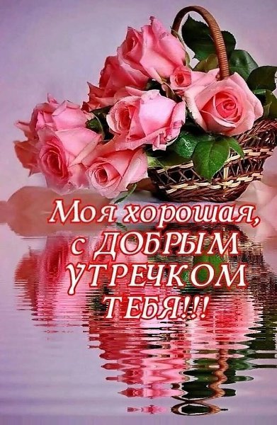   ,    . - 23  2021  10:19 - 8
