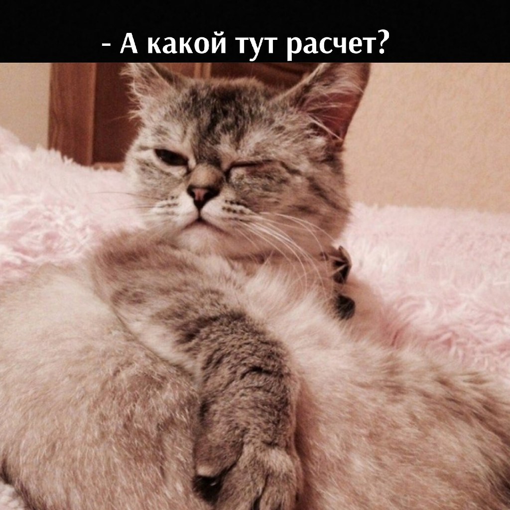       - 30  2021  13:14 - 2