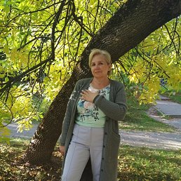 ���� �����, �����, 67 ��� - ��������� 20 ������ 2022