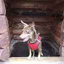 ���� �����, ��������� - ��������� 19 ������� 2021 � ������ ���� ����������