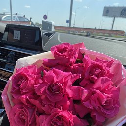 ������, ������