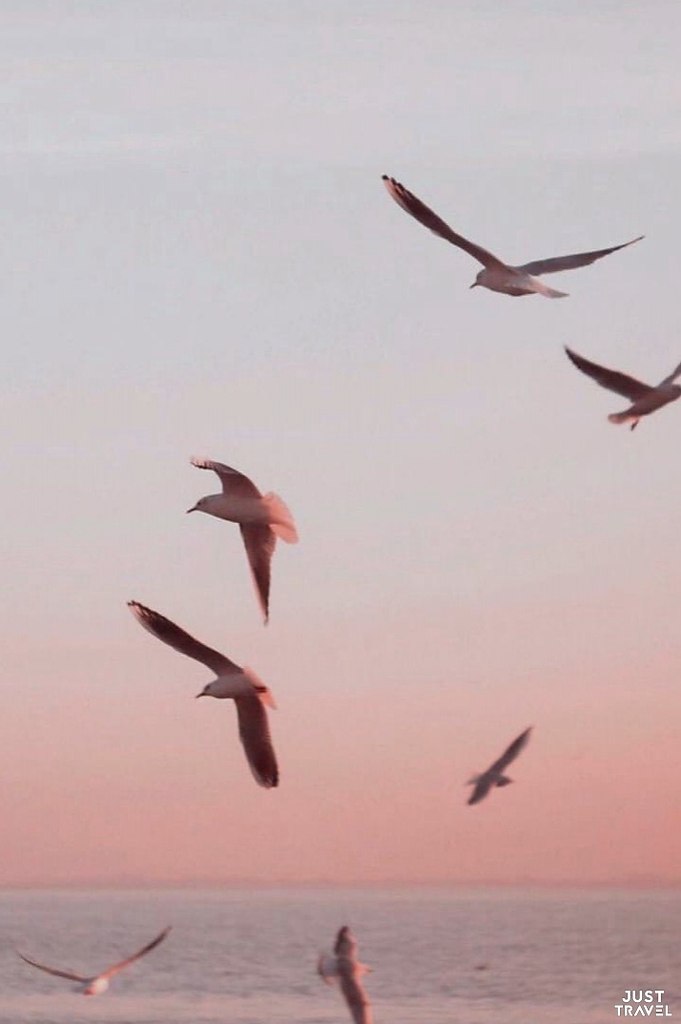 ��o �pe�pac�o.#art #travel #world - 5