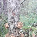 ���� ���������, �����, 67 ��� - ��������� 18 ��� 2022 � ������ ������ ����