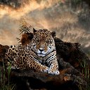 ���� Marlen, ����������� - ��������� 31 ���� 2022 � ������ ������ ��������