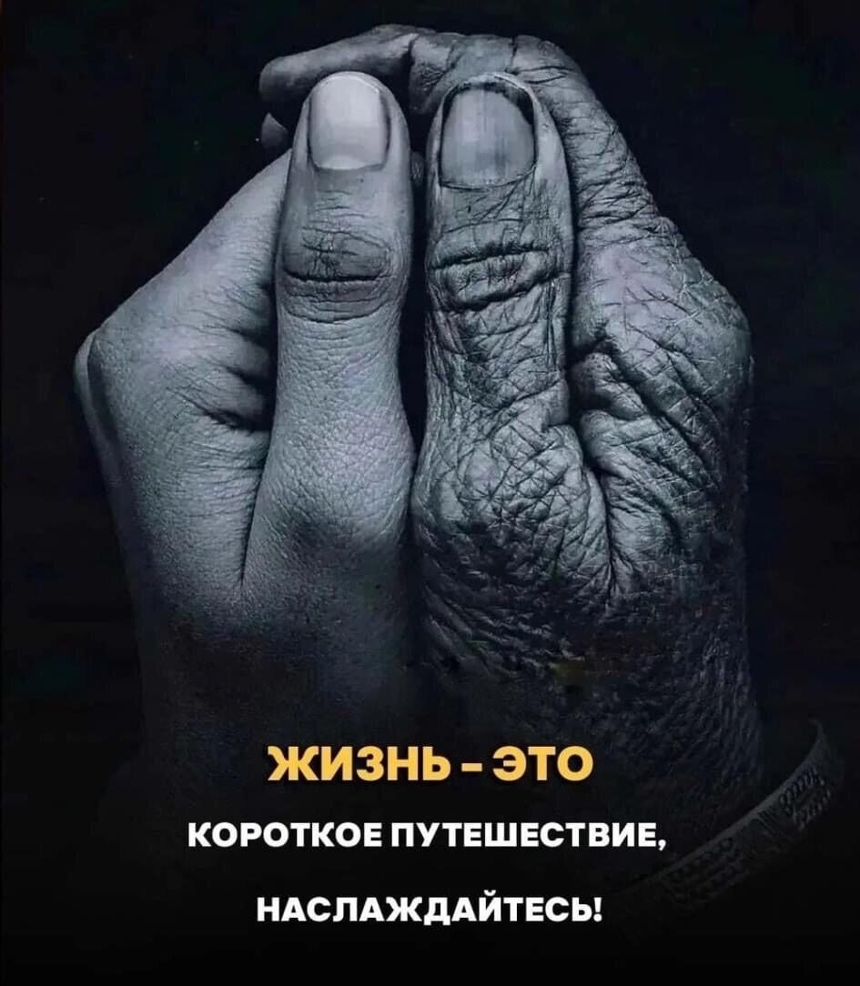***Victoria Viktorovna*** - 23 ноября 2022 в 15:53