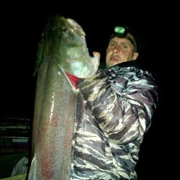 ���� ���, �����������, 40 ��� - ��������� 14 ������� 2023