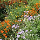 ���� �������, ������, 52 ���� - ��������� 21 ������� 2022 � ������ ���� ����������