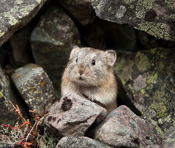 ���� ���������� ������.������ ���������� ������ �������� ������������ �������, �� � ��������� ...