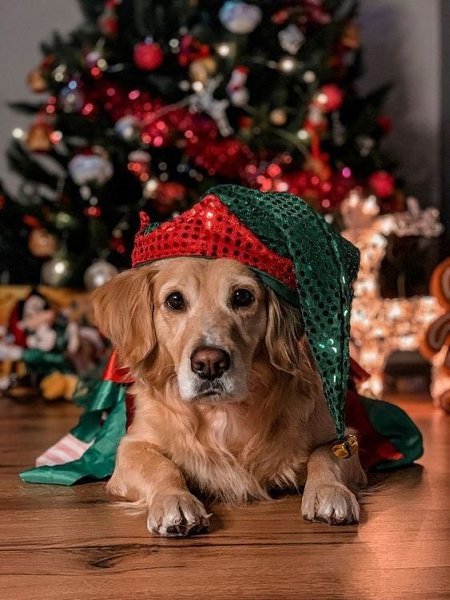 ��� ��� ����� ��������� ��� �����?)