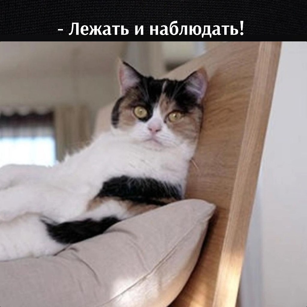       - 9  2023  11:37 - 2