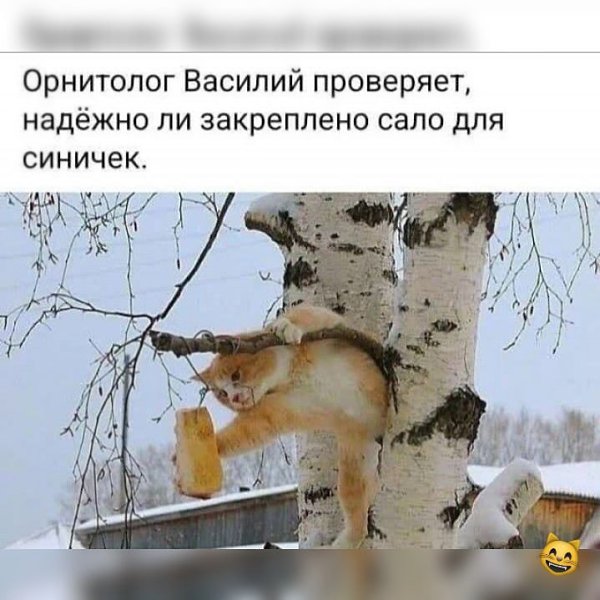  - 9  2023  09:00