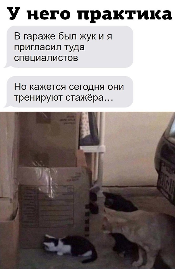  - 8  2022  11:21