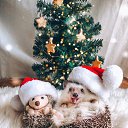 ���� Julia, �������� - ��������� 19 ������� 2022 � ������ ������ ��������