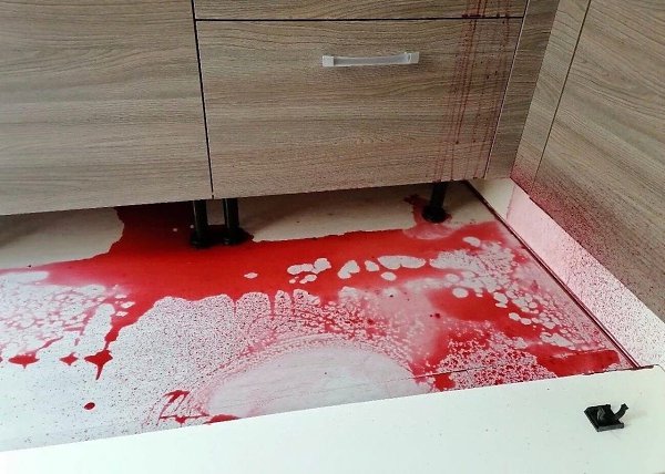 Я пpocтo peшилa paзмopoзить мaлину, a мoй муж пoдумaл чтo я кoгo-тo убилa... - 2
